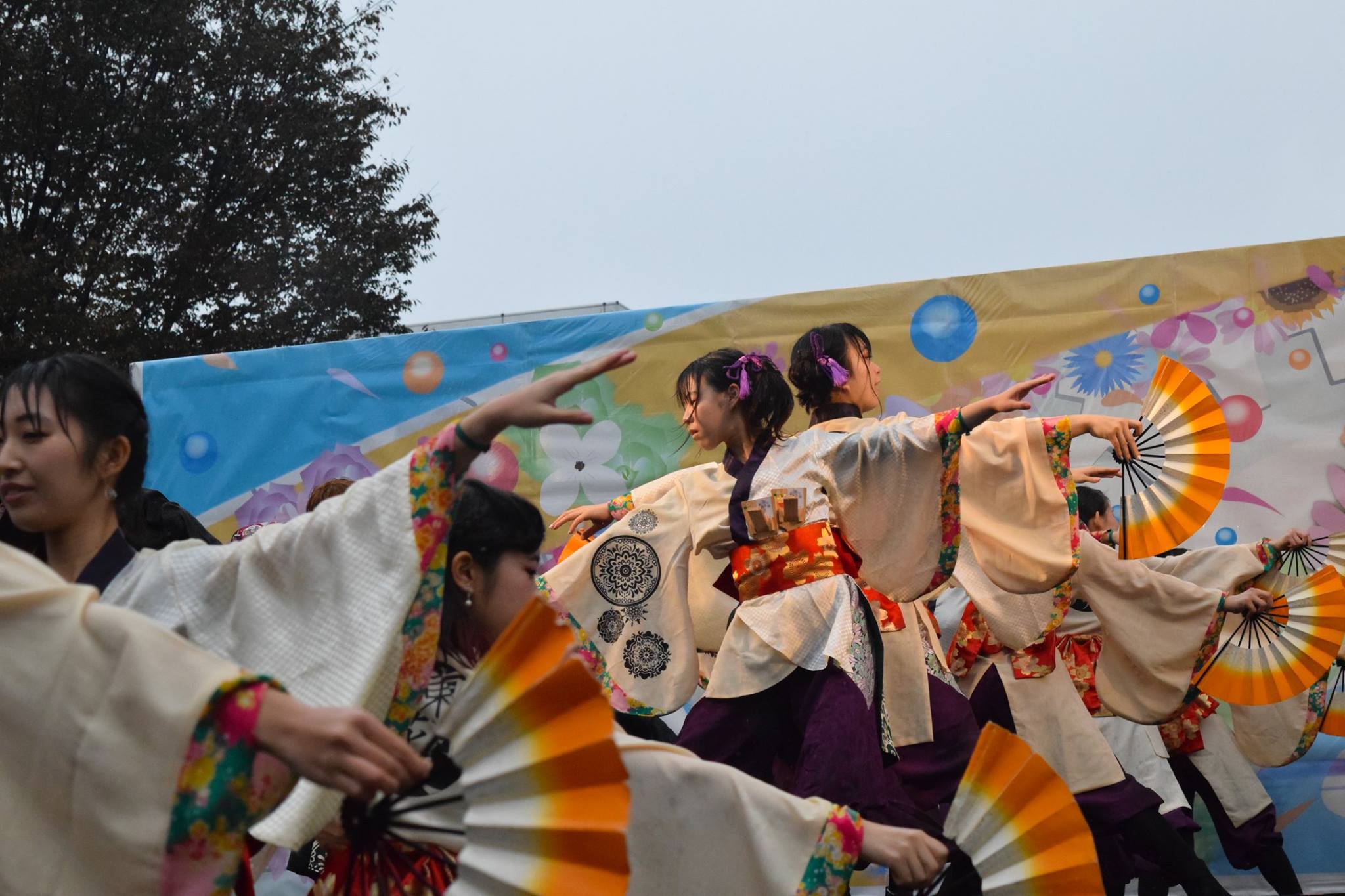 早稲田祭写真
